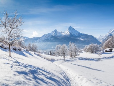 Winter
